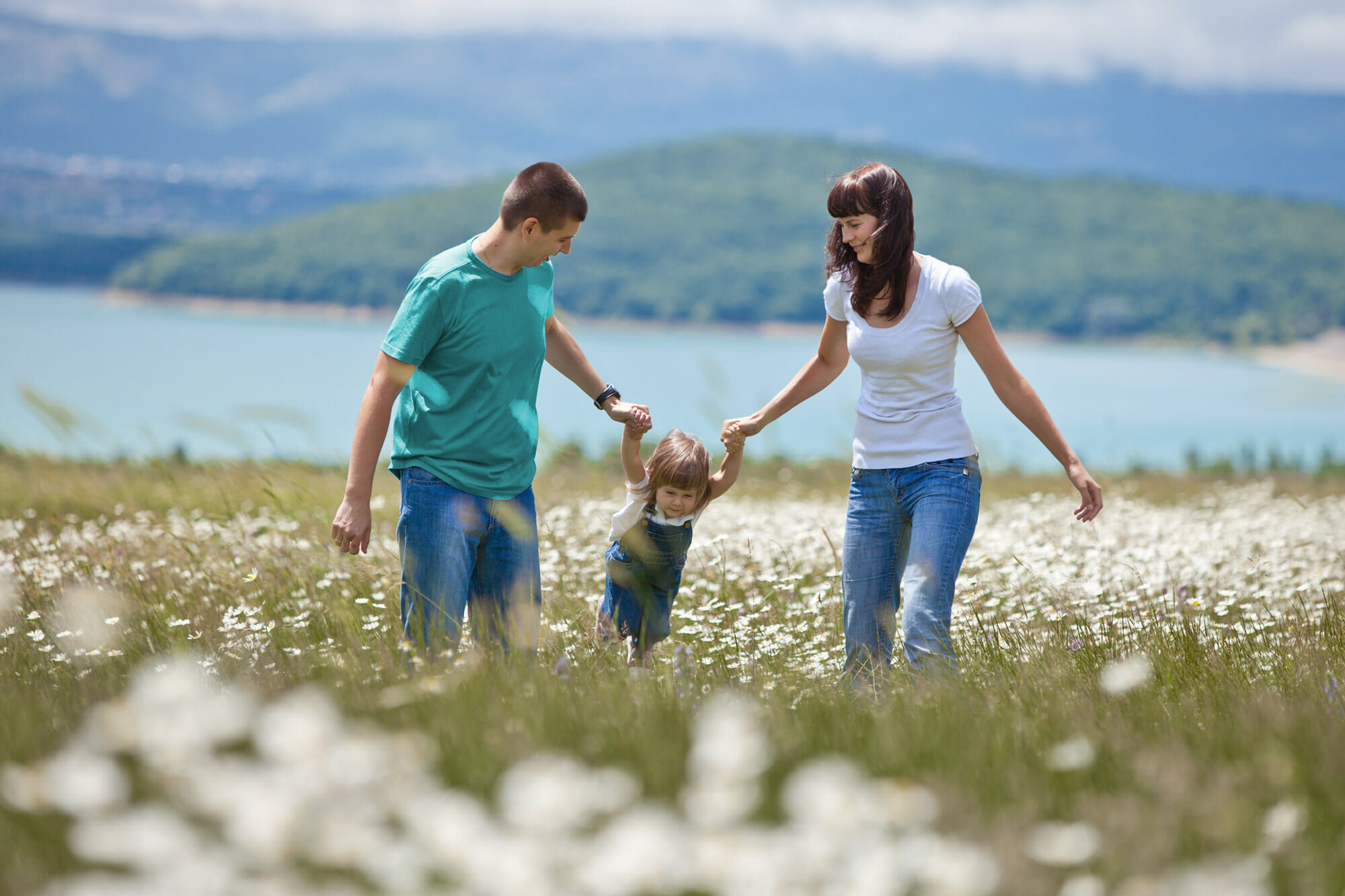 manage your risk through insurance