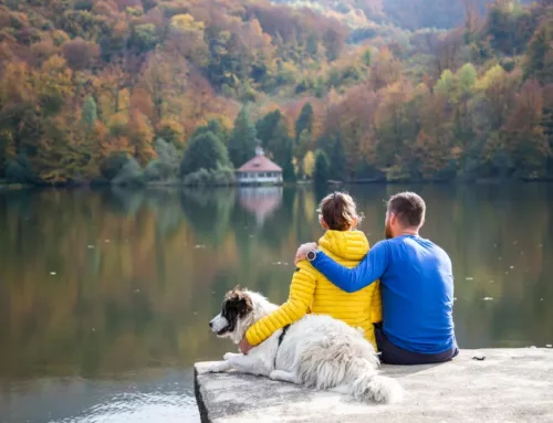 Guide: 7 Steps to Planning for a Happy Retirement if You are over 55 and Have More than $300,000 in Investable Assets