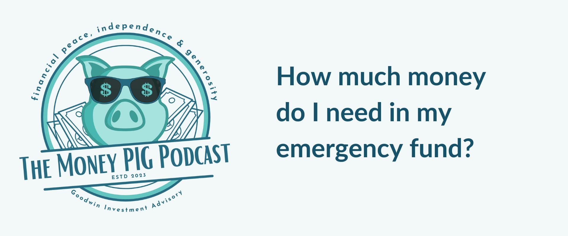 Episode 59 - How much money do I need in my emergency fund