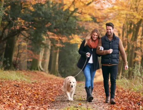 Understanding Health Savings Accounts