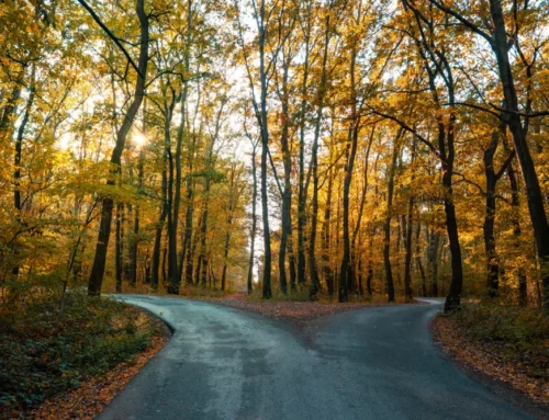 What could cost you more than you expect in 2026